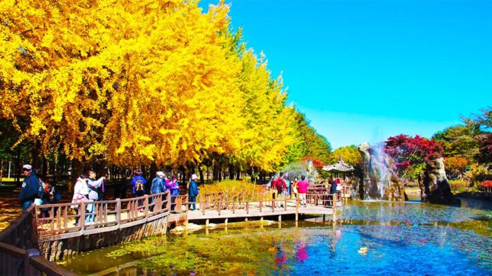 Du-lich-Han-Quoc-5-ngay-4-dem-Nami-Island