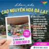tour-da-lat-3-ngay-2-dem